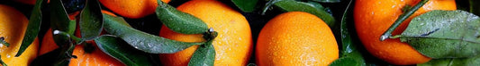 Vitamine C testen